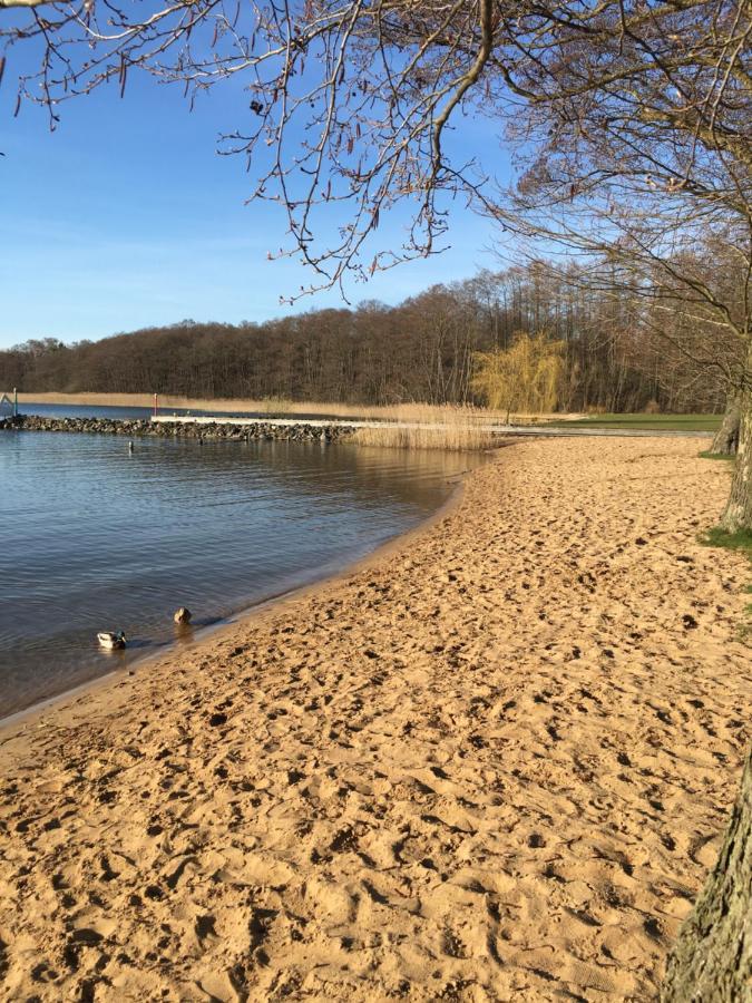 Ferienhaus Mit Bootssteg Am See In Rheinsberg Extérieur photo